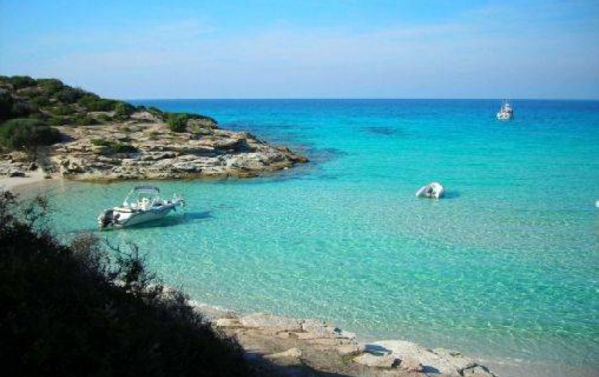 Location de vacances - Appartement à Oletta