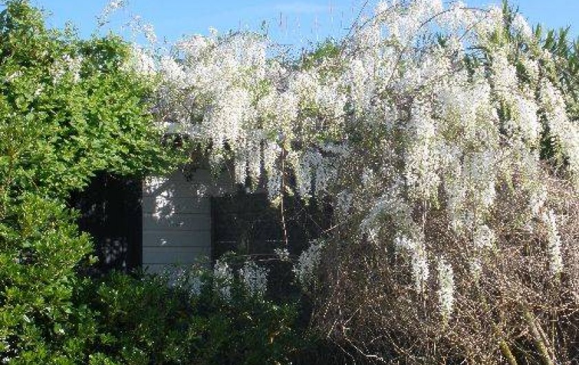 Location de vacances - Mas à Saintes-Maries-de-la-Mer