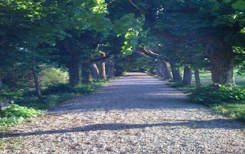Location de vacances - Maison - Villa à Dijon - Allée de tilleuls