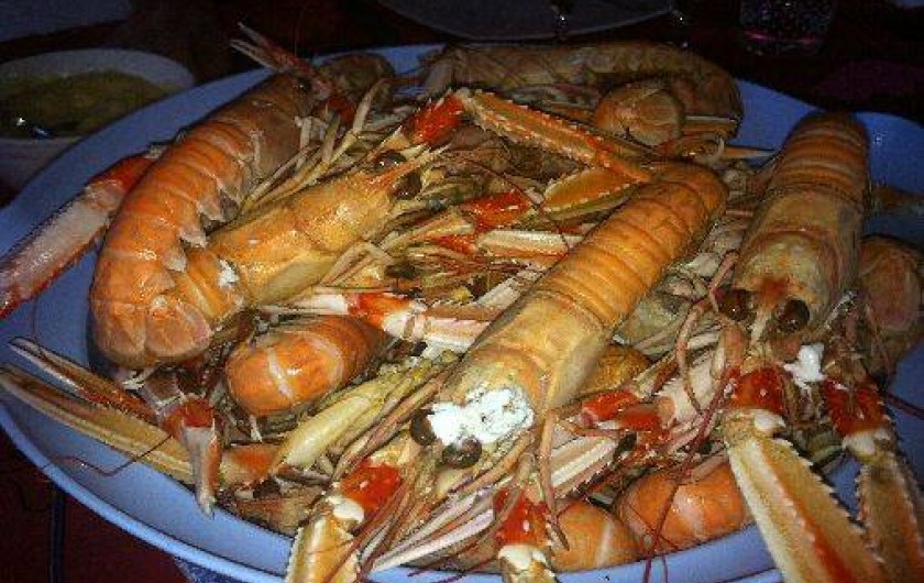 Location de vacances - Maison - Villa à Saint-Pierre-d'Oléron