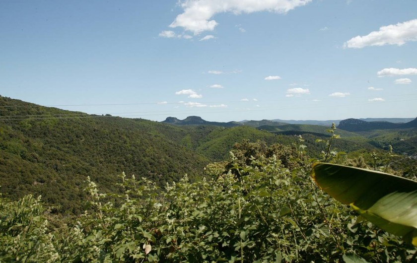 Location de vacances - Gîte à Cros - Vue sur les jumelles