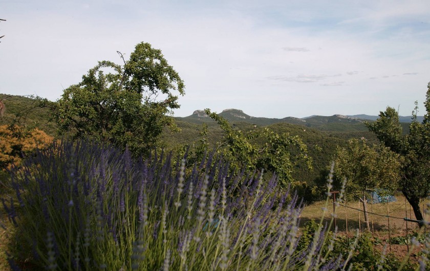 Location de vacances - Gîte à Cros - Vue depuis la piscine