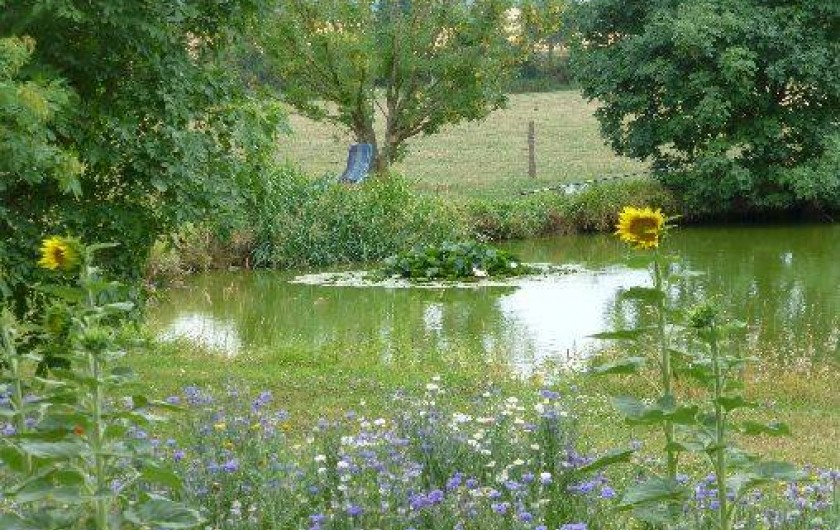 Location de vacances - Gîte à Château-Voué