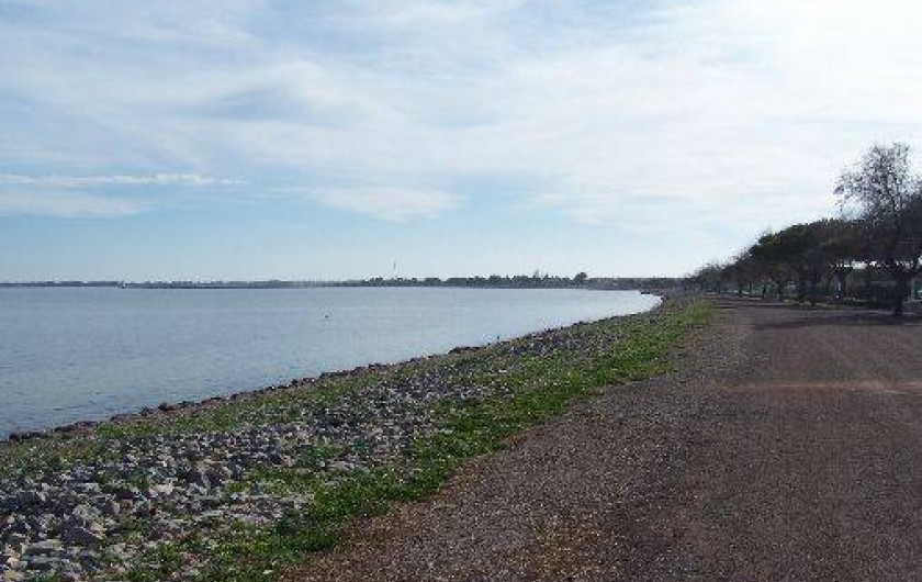 Location de vacances - Villa à Marseillan