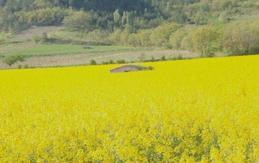 Location de vacances - Villa à Die