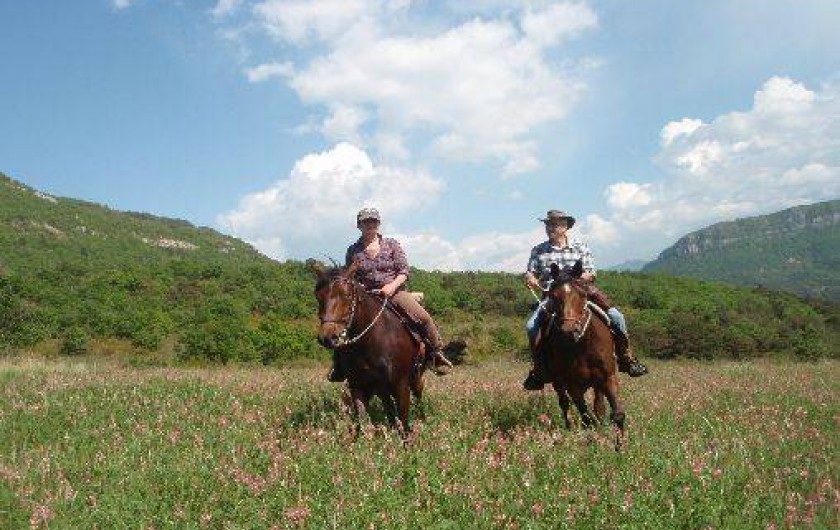 Location de vacances - Villa à Die