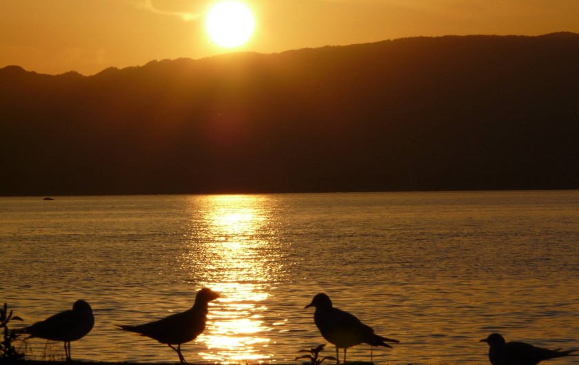 Location de vacances - Chalet à Excenevex