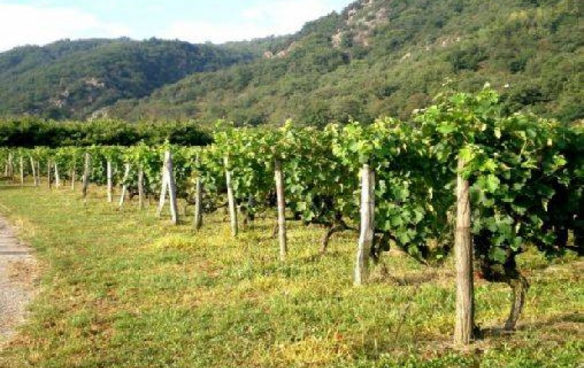 Location de vacances - Chambre d'hôtes à Champagne