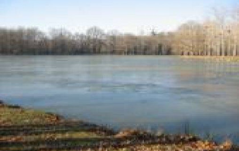 Location de vacances - Chalet à Souvigny-en-Sologne