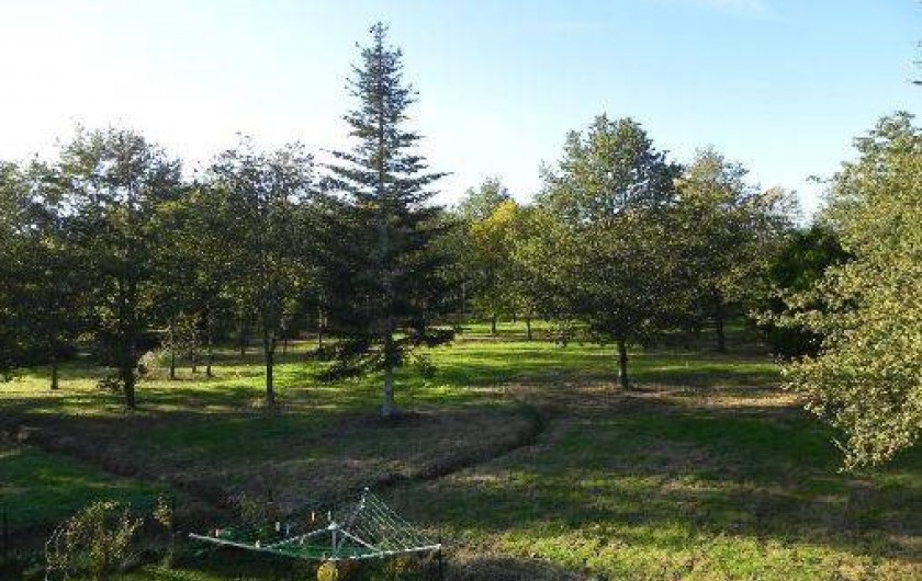 Location de vacances - Chalet à Souvigny-en-Sologne