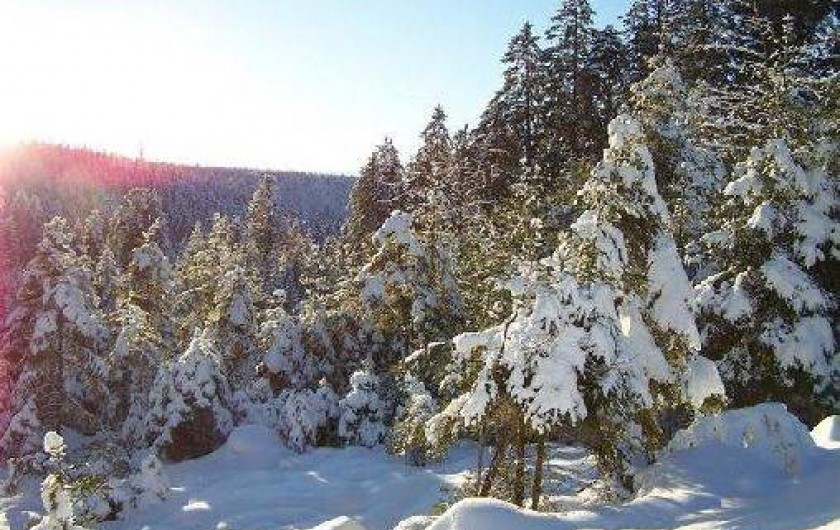 Location de vacances - Gîte à Gérardmer