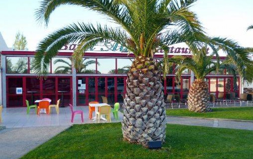 Location de vacances - Camping à Vias