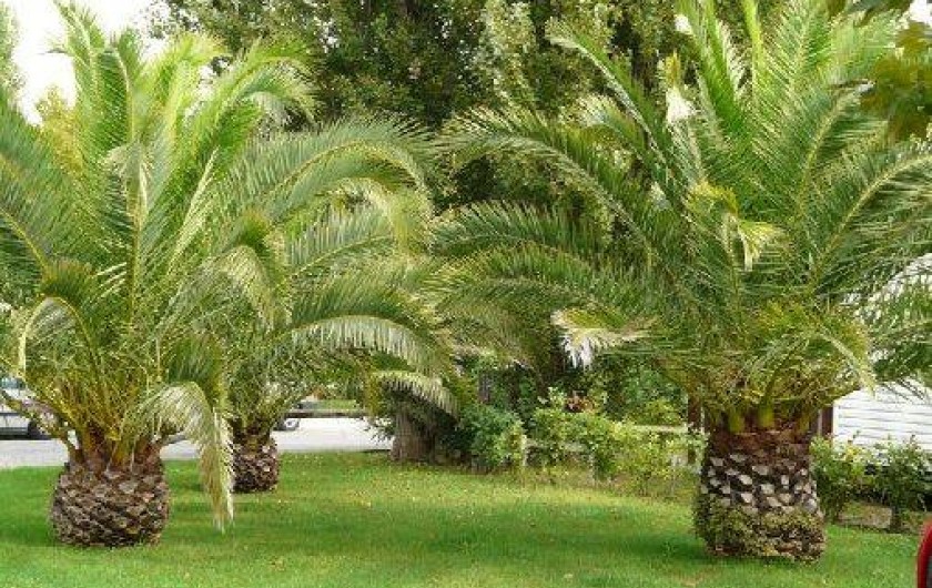 Location de vacances - Camping à Vias