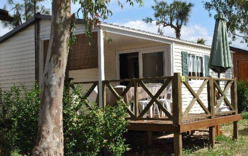 Location de vacances - Bungalow - Mobilhome à Hyères
