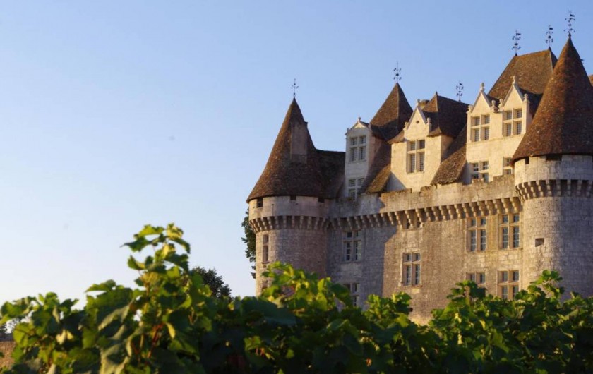 Location de vacances - Gîte à Saint-Agne - Le château de Monbazillac à 10 kms