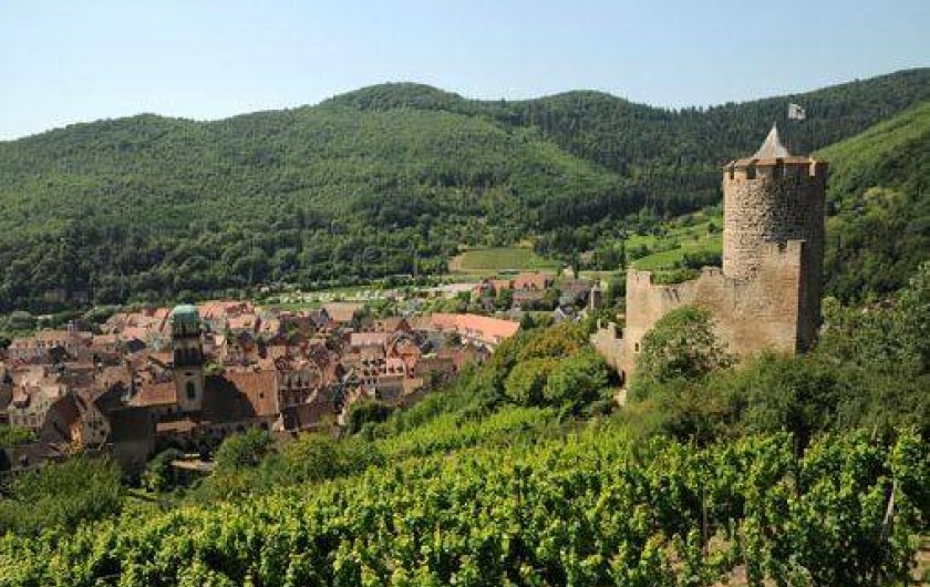 Location de vacances - Maison - Villa à Kaysersberg