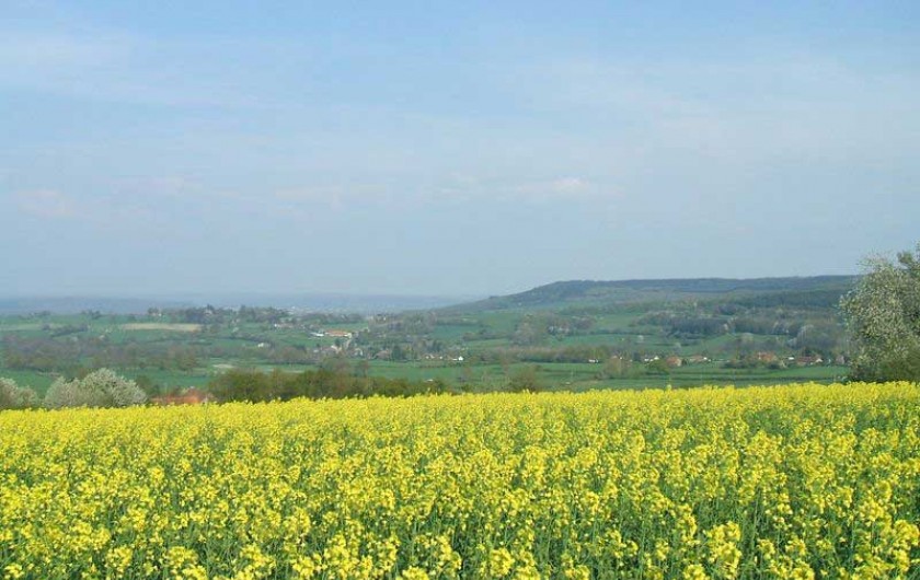 Location de vacances - Gîte à Curgy