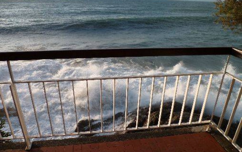 Location de vacances - Villa à Le Lavandou