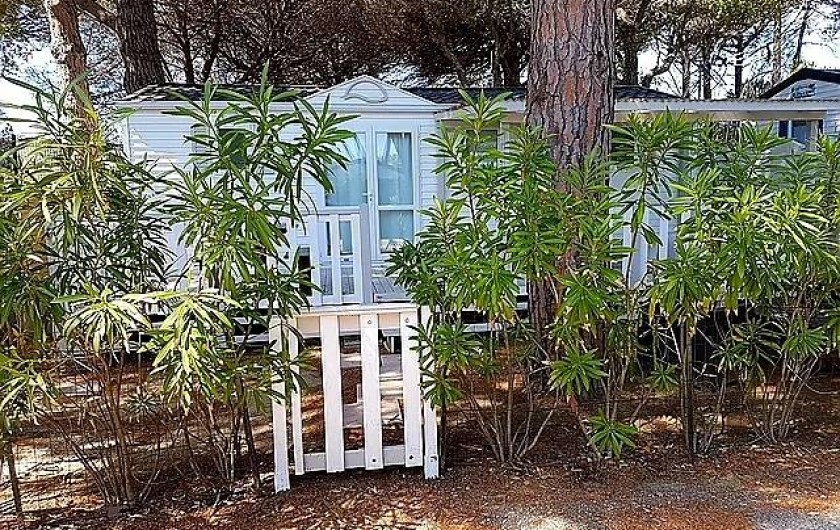 Location de vacances - Camping à Ramatuelle