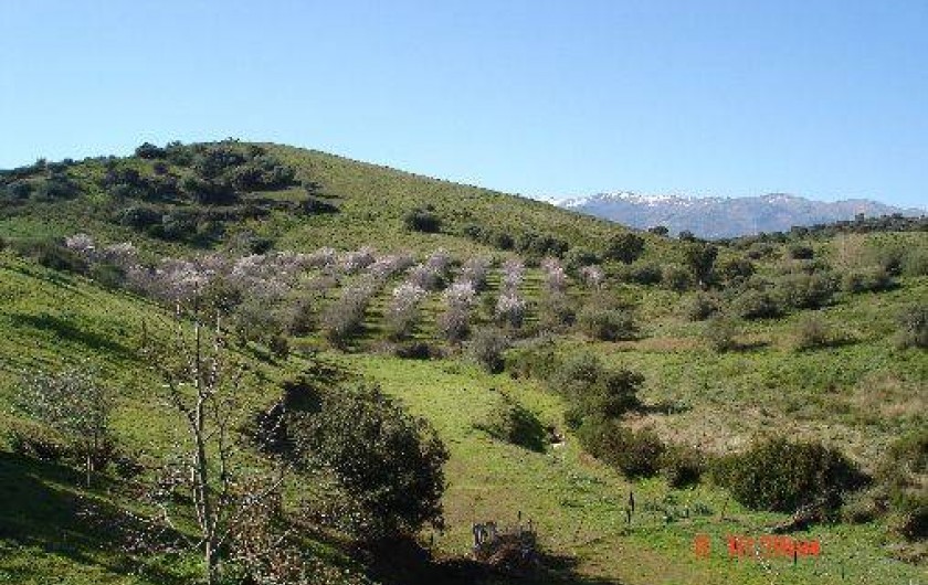 Location de vacances - Gîte à Saint-Florent