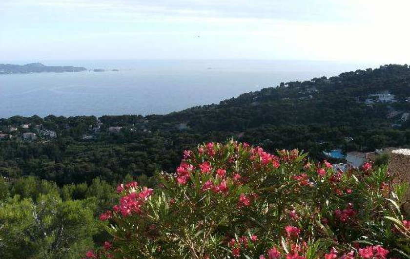 Location de vacances - Appartement à Hyères