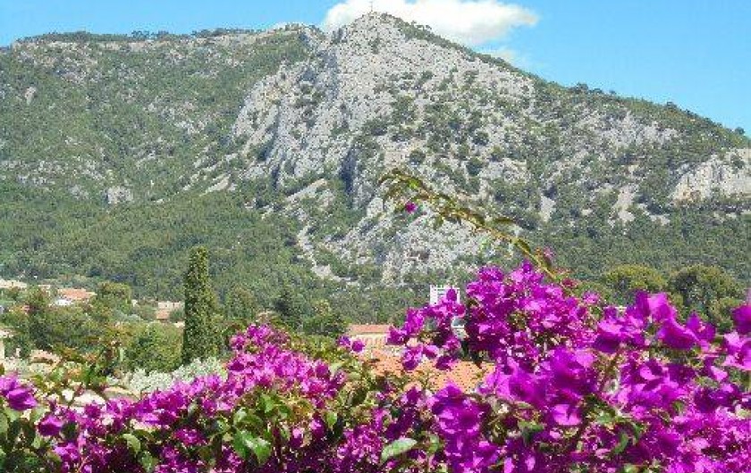 Location de vacances - Maison - Villa à Toulon