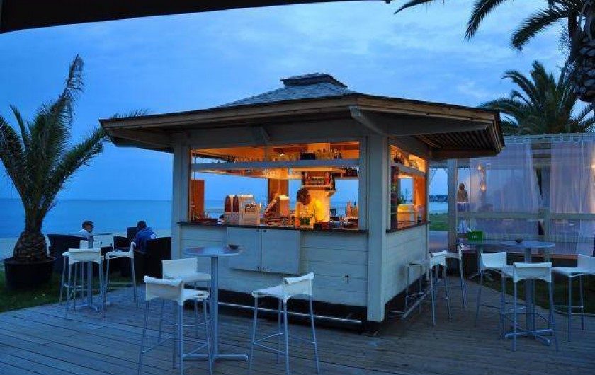 Location de vacances - Appartement à Penta-di-Casinca - Soirées animées en bord de mer