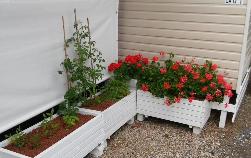 Location de vacances - Camping à Vias - herbes aromatiques  pour vos salades!