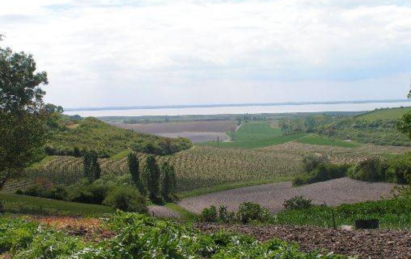 Location de vacances - Maison - Villa à Saint-Fort-sur-Gironde