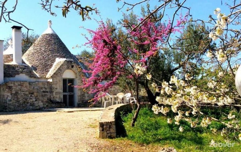 Location de vacances - Mas à Ceglie Messapica - Trullo Salice Maison de vacances en Pouille