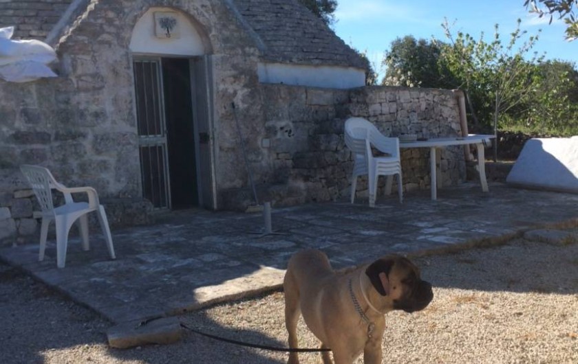 Location de vacances - Mas à Ceglie Messapica - Trullo Salice Maison de vacances en Pouille
