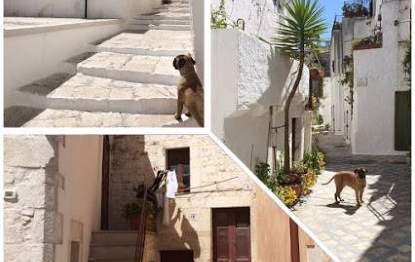 Location de vacances - Mas à Ceglie Messapica - Ceglie Messapica