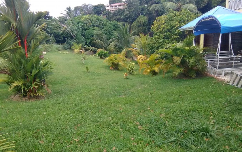 Location de vacances - Appartement à Rivière-Pilote - jardin