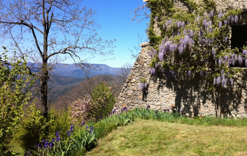 Location de vacances - Mas à Saint-Roman-de-Codières - Côté jardin au printemps