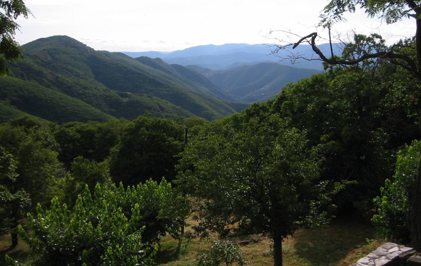 Location de vacances - Mas à Saint-Roman-de-Codières - La vue depuis la maison