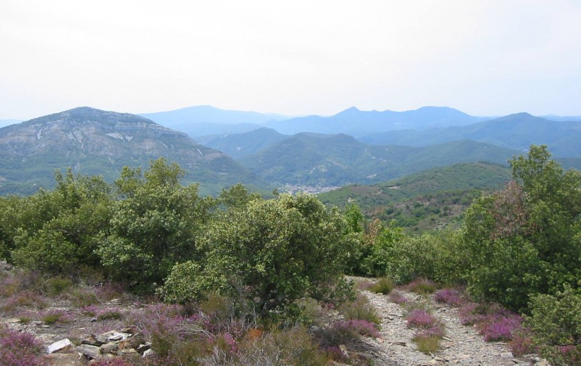 Location de vacances - Mas à Saint-Roman-de-Codières - En balade