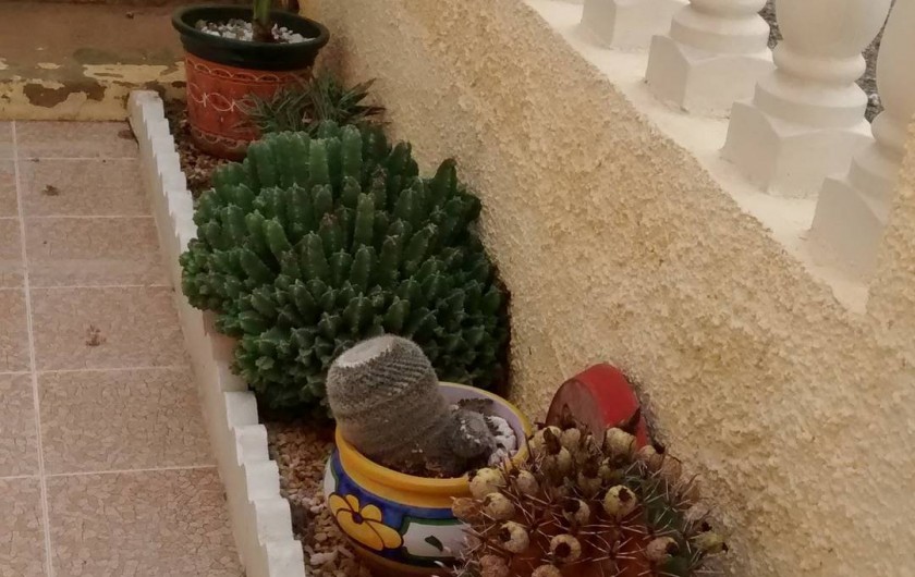 Location de vacances - Villa à San Fulgencio