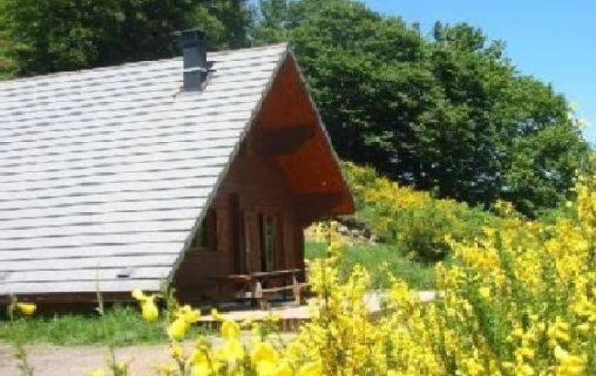 Location de vacances - Chalet à Chambon-sur-Lac