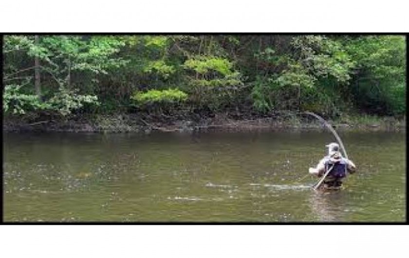 Location de vacances - Gîte à Bromont Lamothe - Nombreuses zones de pèche aux alentours