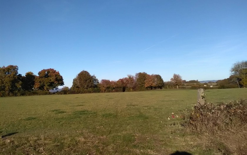 Location de vacances - Gîte à Bromont Lamothe - Aux alentours ; paysage de bocage