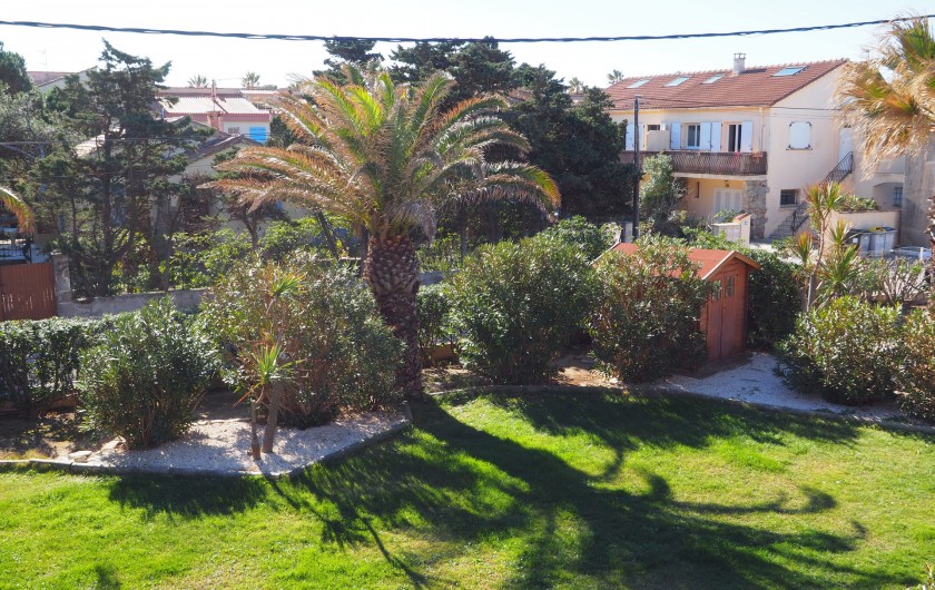 Location de vacances - Studio à Hyères - Face à la terrasse, le jardin et ses palmiers