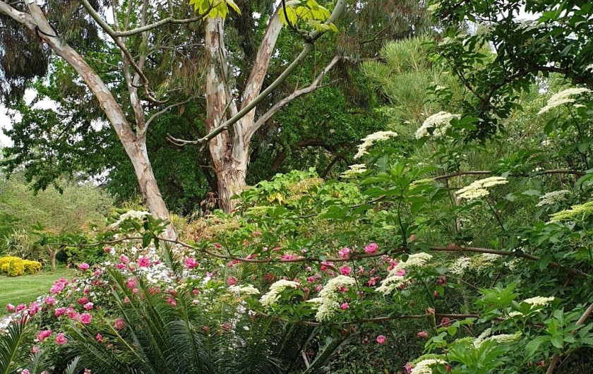 Location de vacances - Studio à Hyères - Le Jardin Olbius Riquier, un paradis pour les enfants