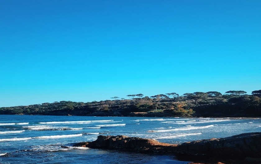 Location de vacances - Studio à Hyères - Vers l'embarcadère pour les Iles, à 15mn