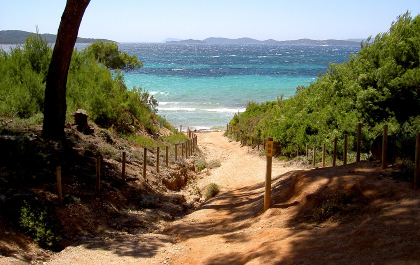 Location de vacances - Studio à Hyères - Ile de Porquerolles, promenades à pieds ou en vélo Copyright Hyères-Tourisme
