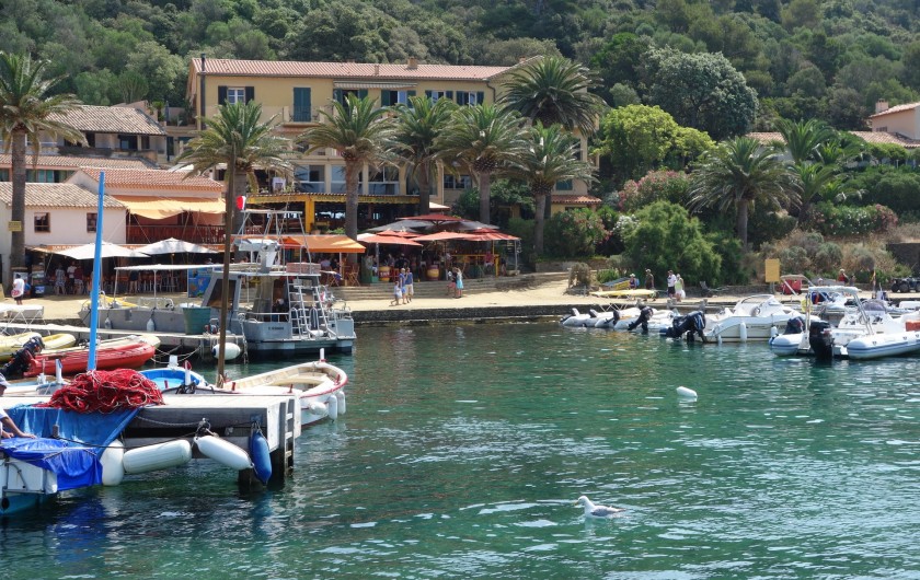 Location de vacances - Studio à Hyères - Ile de Port-Cros Copyright Hyères-Tourisme