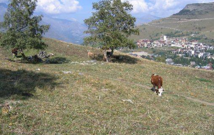 Location de vacances - Studio à Les Deux Alpes