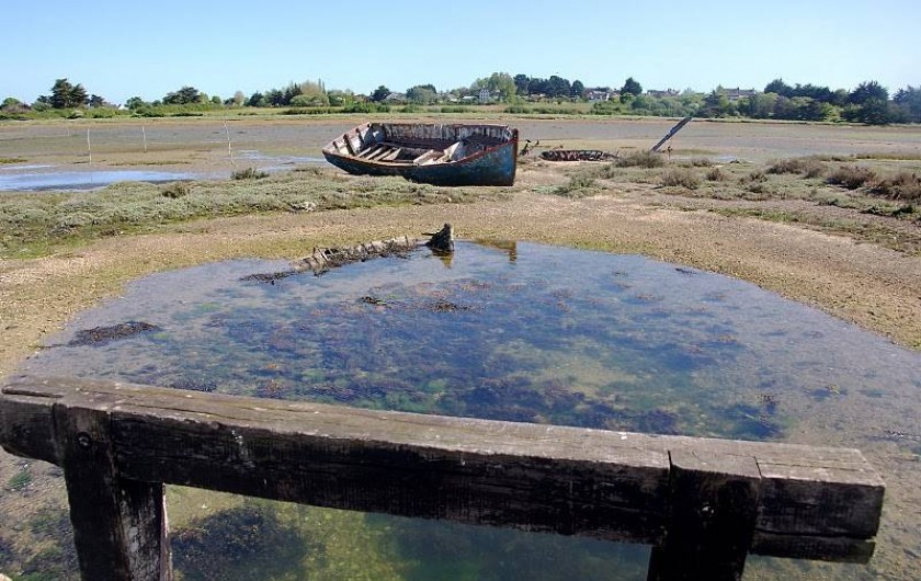 Location de vacances - Maison - Villa à Pennéro