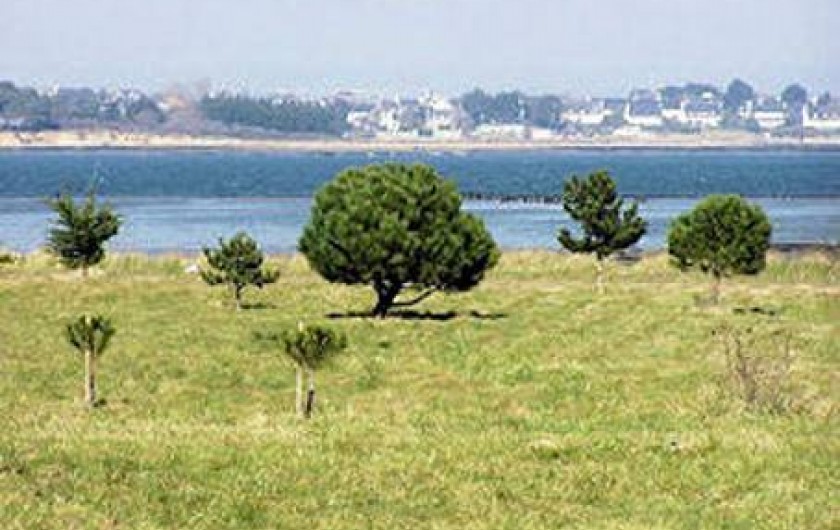 Location de vacances - Maison - Villa à Pennéro