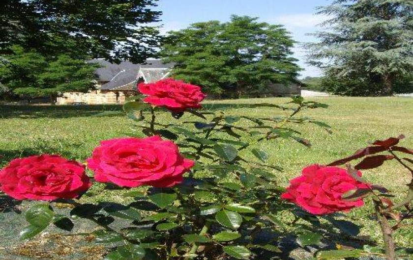 Location de vacances - Chambre d'hôtes à Yvré-l'Évêque