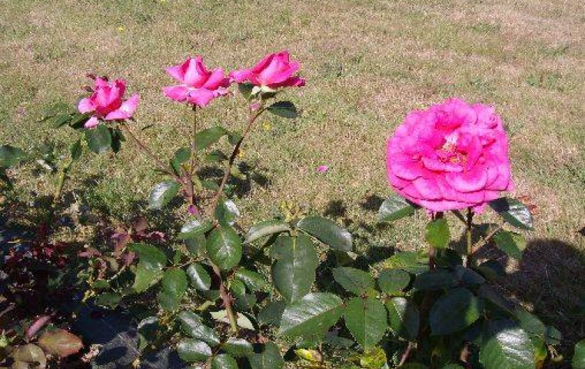 Location de vacances - Chambre d'hôtes à Yvré-l'Évêque